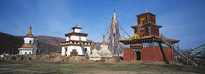 《最后的生还者2：重制版》艾莉和艾比全皮肤泄露